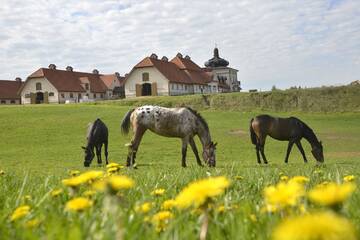 Фото Проживание в семье Stadnina Koni Nad Wigrami г. Миколаево 1